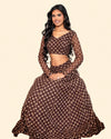 Brown Organza Lehnga